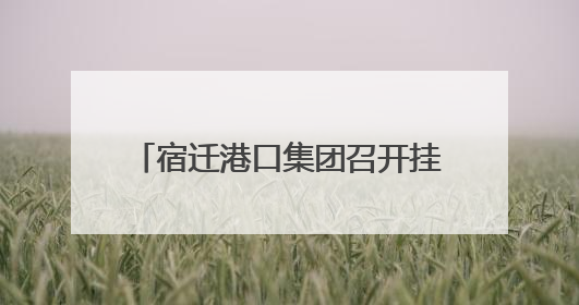 宿迁港口集团召开挂职干部交流座谈会