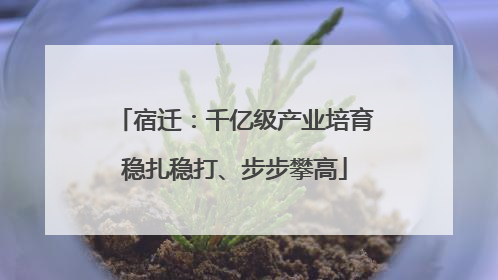 宿迁：千亿级产业培育稳扎稳打、步步攀高