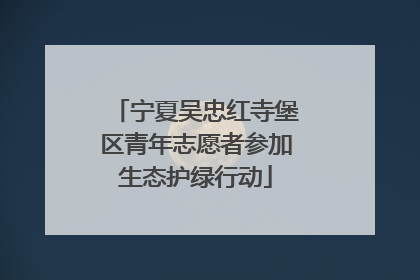 宁夏吴忠红寺堡区青年志愿者参加生态护绿行动