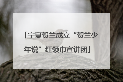 宁夏贺兰成立“贺兰少年说”红领巾宣讲团