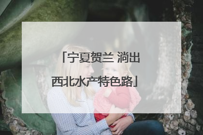 宁夏贺兰 淌出西北水产特色路