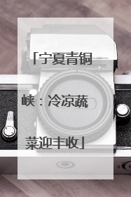 宁夏青铜峡：冷凉蔬菜迎丰收