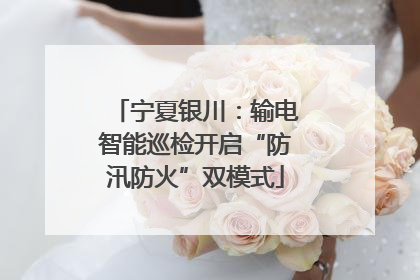 宁夏银川：输电智能巡检开启“防汛防火”双模式