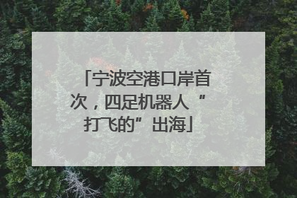 宁波空港口岸首次，四足机器人“打飞的”出海