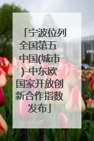 宁波位列全国第五 中国(城市)-中东欧国家开放创新合作指数发布