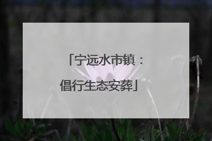 宁远水市镇：倡行生态安葬