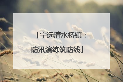 宁远清水桥镇：防汛演练筑防线