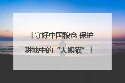 守好中国粮仓 保护耕地中的“大熊猫”