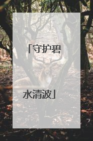 守护碧水清波
