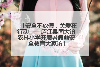 安全不放假，关爱在行动——庐江县同大镇农林小学开展暑假前安全教育大家访