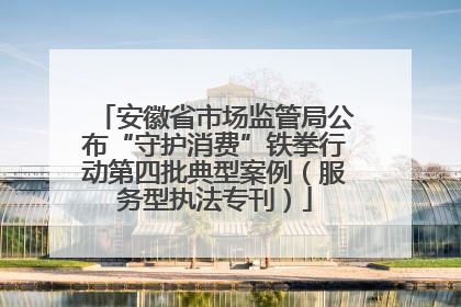 安徽省市场监管局公布“守护消费”铁拳行动第四批典型案例（服务型执法专刊）