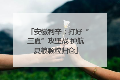 安徽利辛：打好“三夏”攻坚战 护航夏粮颗粒归仓