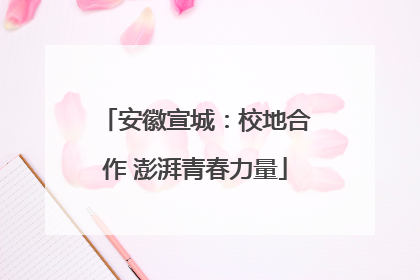 安徽宣城：校地合作 澎湃青春力量