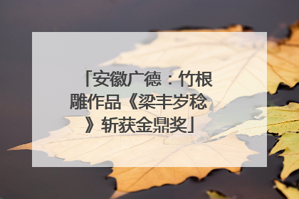 安徽广德：竹根雕作品《梁丰岁稔》斩获金鼎奖