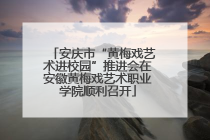 安庆市“黄梅戏艺术进校园”推进会在安徽黄梅戏艺术职业学院顺利召开