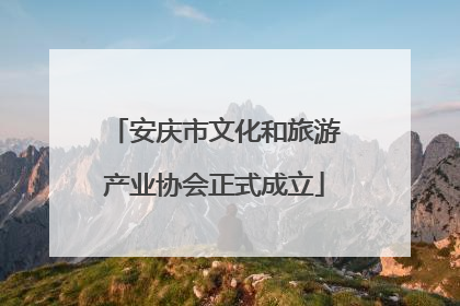 安庆市文化和旅游产业协会正式成立