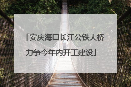 安庆海口长江公铁大桥力争今年内开工建设