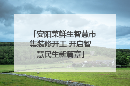 安阳菜鲜生智慧市集装修开工 开启智慧民生新篇章