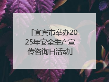 宜宾市举办2025年安全生产宣传咨询日活动