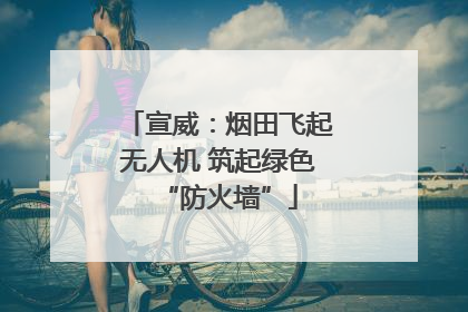 宣威：烟田飞起无人机 筑起绿色“防火墙”