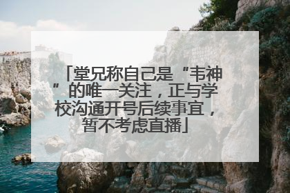 堂兄称自己是“韦神”的唯一关注，正与学校沟通开号后续事宜，暂不考虑直播