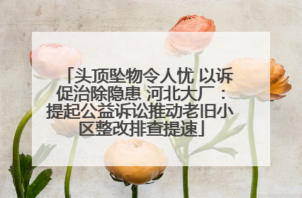 头顶坠物令人忧 以诉促治除隐患 河北大厂：提起公益诉讼推动老旧小区整改排查提速