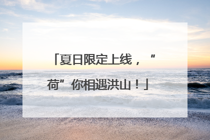 夏日限定上线，“荷”你相遇洪山！