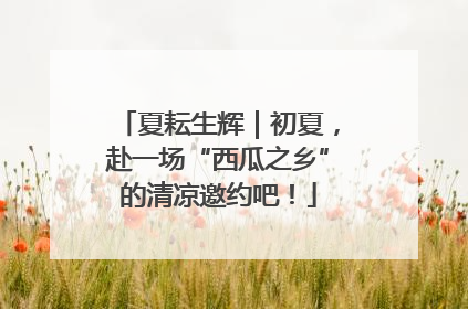 夏耘生辉｜初夏，赴一场“西瓜之乡”的清凉邀约吧！