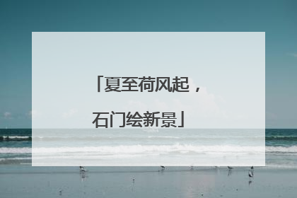 夏至荷风起，石门绘新景