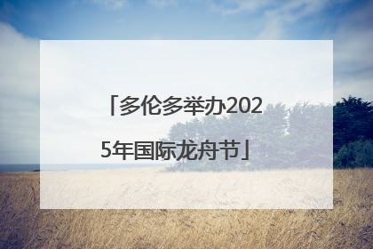 多伦多举办2025年国际龙舟节