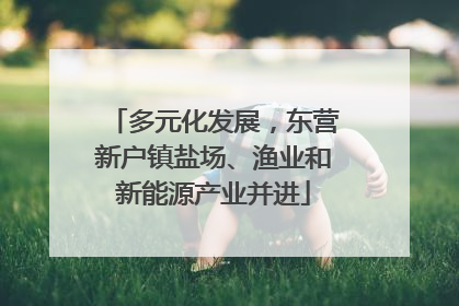 多元化发展，东营新户镇盐场、渔业和新能源产业并进