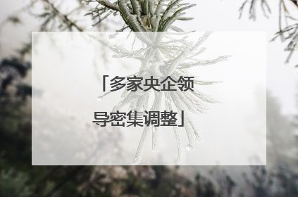 多家央企领导密集调整