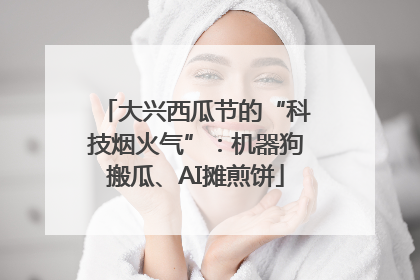 大兴西瓜节的“科技烟火气”：机器狗搬瓜、AI摊煎饼