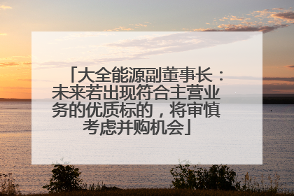 大全能源副董事长：未来若出现符合主营业务的优质标的，将审慎考虑并购机会