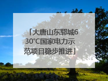 大唐山东郓城630℃国家电力示范项目稳步推进