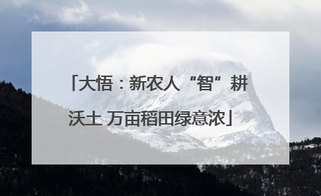 大悟：新农人“智”耕沃土 万亩稻田绿意浓