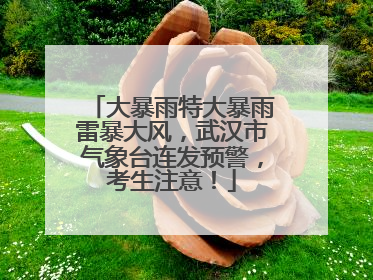 大暴雨特大暴雨雷暴大风，武汉市气象台连发预警，考生注意！