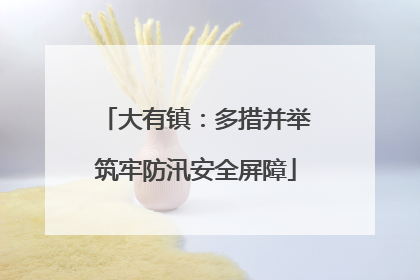 大有镇：多措并举筑牢防汛安全屏障