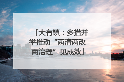 大有镇：多措并举推动“两清两改两治理”见成效