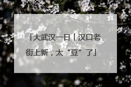 大武汉一日︱汉口老街上新，太“豆”了