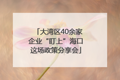 大湾区40余家企业“盯上”海口这场政策分享会