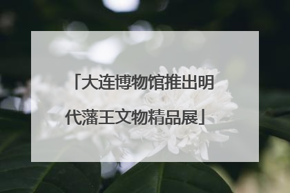 大连博物馆推出明代藩王文物精品展