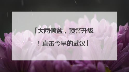大雨倾盆，预警升级！直击今早的武汉