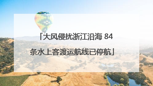 大风侵扰浙江沿海 84条水上客渡运航线已停航
