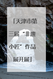 天津市第三届“非遗小匠”作品展开展