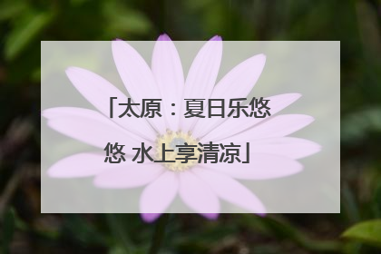 太原：夏日乐悠悠 水上享清凉