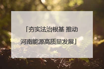 夯实法治根基 推动河南能源高质量发展