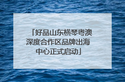好品山东横琴粤澳深度合作区品牌出海中心正式启动