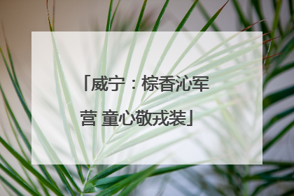 威宁：棕香沁军营 童心敬戎装
