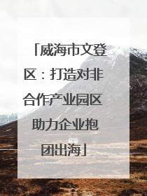 威海市文登区：打造对非合作产业园区 助力企业抱团出海